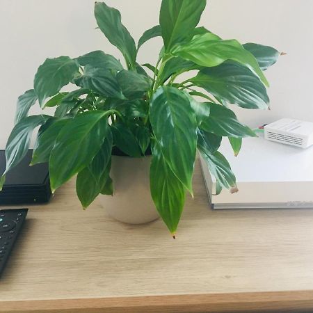 Studio Cosy 博格斯 外观 照片