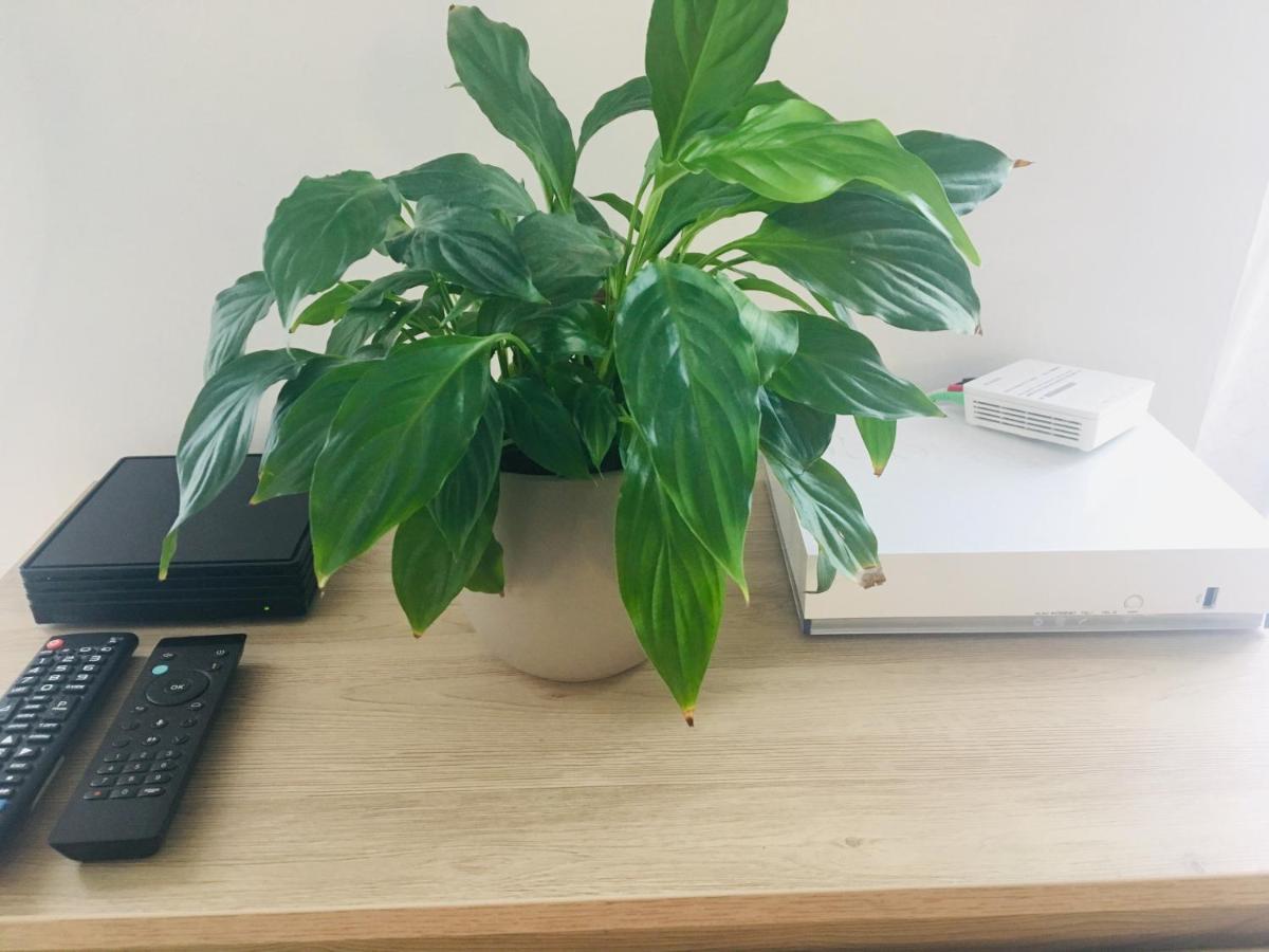 Studio Cosy 博格斯 外观 照片